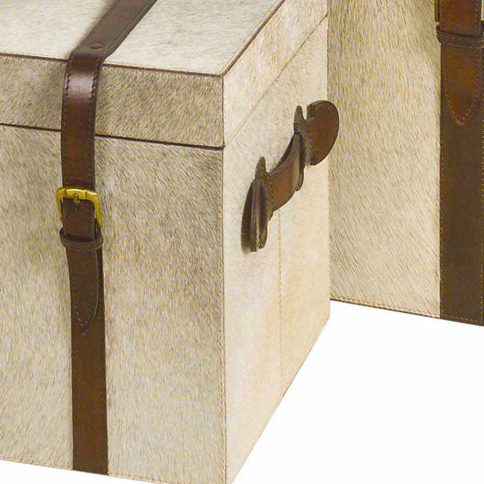 2 Designstämme in Grau Pony Ritini, groß und klein Viadurini