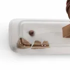 Applique zwei Scheinwerfer Amelia Ferroluce Handwerk Viadurini