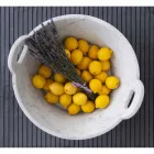 Korb aus weißem Carrara-Marmor des italienischen Luxusdesigns - Tinozzo Viadurini