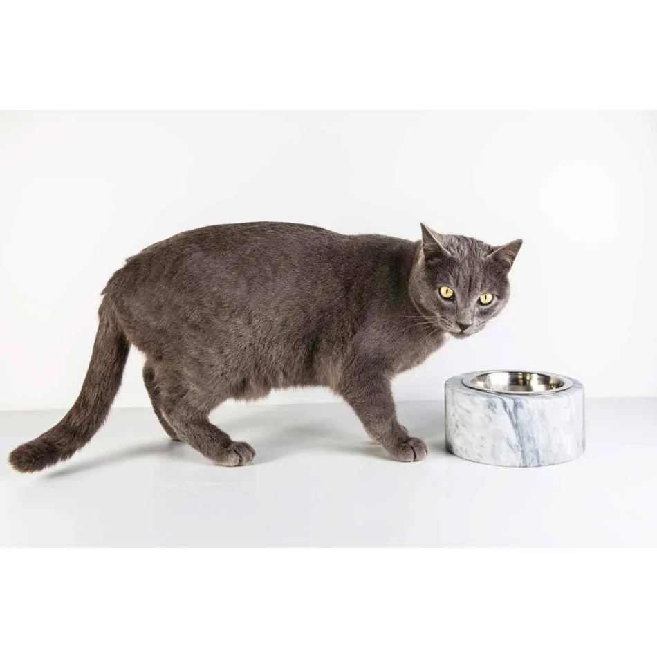 Hunde- und Katzenschale aus weißem Carrara-Marmor Made in Italy - Ciotta Viadurini