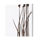 Zusammensetzung aus 4 Tafeln mit Hortensien, Allium und Thypha, hergestellt in Italien – Berechnung Viadurini