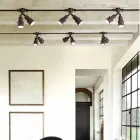 personifizierte Zusammensetzungen, Wünsche Viadurini