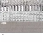 Stapelbares Zweisitzer-Sofa gepolsterter Stoff im Freien - Smart von Varaschin Viadurini