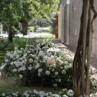 Garten-Stehlampe Aluminium Weiß Design mit Seerosenblatt - Cipriam Viadurini