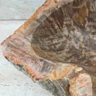 Design Waschbecken aus fossilem Holz Star Mini, Einzelstück Viadurini
