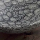 Design Keramik Aufsatzwaschtisch made in Italy Animals Viadurini