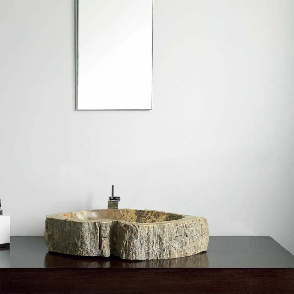 Waschbecken aus versteinertes Holz Einzelstück Goa Viadurini