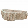 Aufsatzwaschbecken aus Fossilholz Unikat Goa