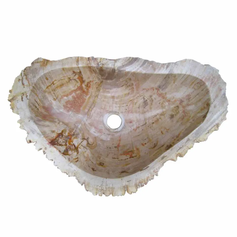 Holz Fossil Waschbecken Arbeitsplatte Goa Einzelstück Viadurini