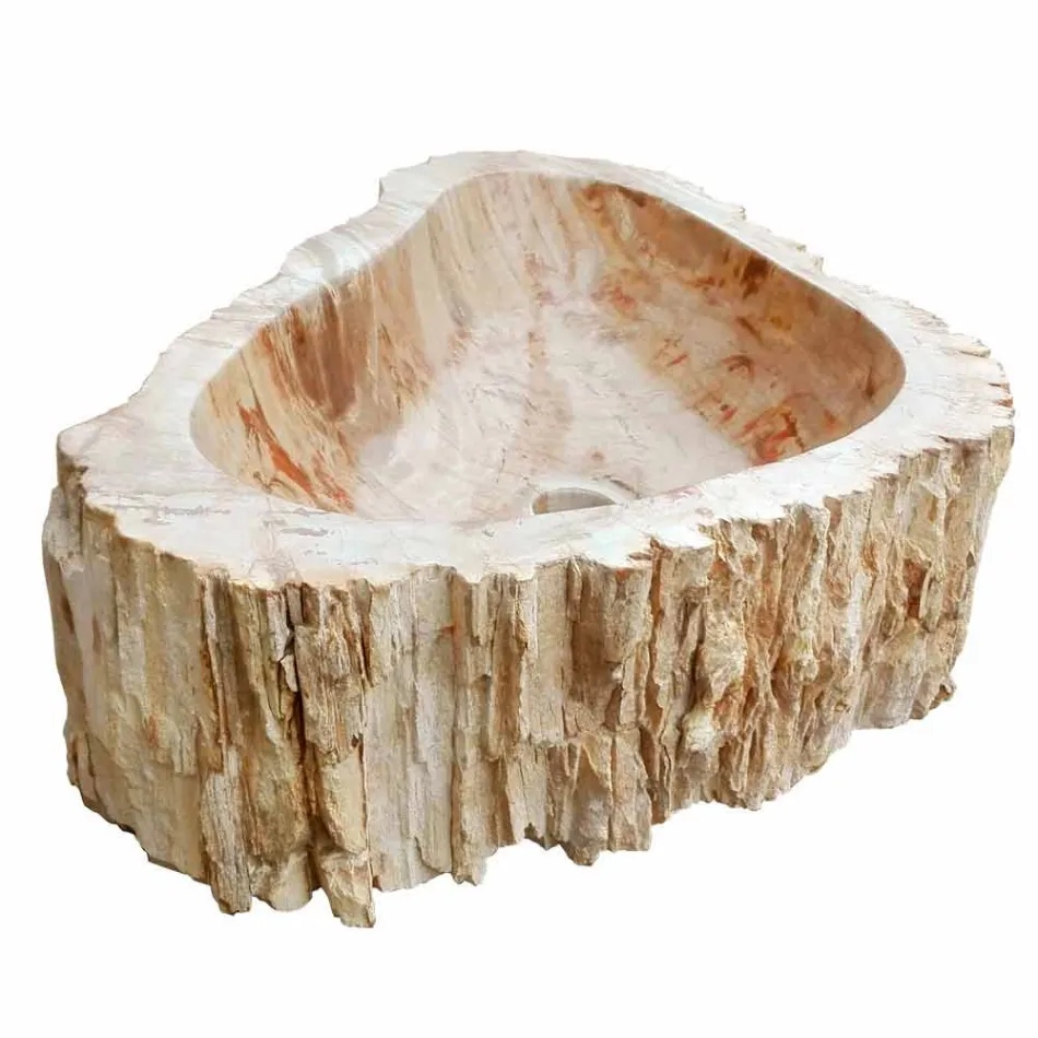 Holz Fossil Waschbecken Arbeitsplatte Goa Einzelstück Viadurini