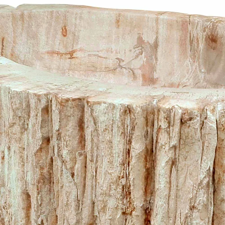 Holz Fossil Waschbecken Arbeitsplatte Goa Einzelstück Viadurini