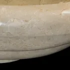 Tito-Design-Aufsatzwaschbecken aus Marmor, Einzelstück Viadurini