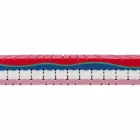 Eineinhalb Matratzen in Luxus Memory H 25 cm Made in Italy - Platin Viadurini