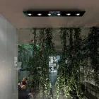 Deckenleuchte mit flacher Glasplatte mit Absenkungen - Kora Viadurini