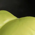 Design Ottomane in Kunstleder nautischen innen und außen Potus Viadurini