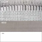 Gartenstuhl mit Armlehnen Stapelbar gepolstert H 78cm - Smart von Varaschin Viadurini