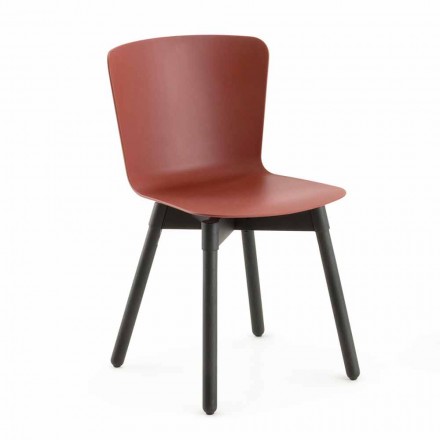 Polypropylen Stuhl mit gebeizter Eichenbasis Made in Italy, 2 Stück - Scandio Viadurini