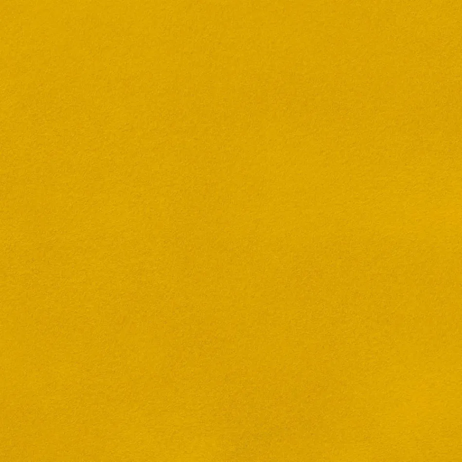 Esszimmerstuhl aus Samt mit schwarzen Metallbeinen, 4 Stück - Hanna Viadurini