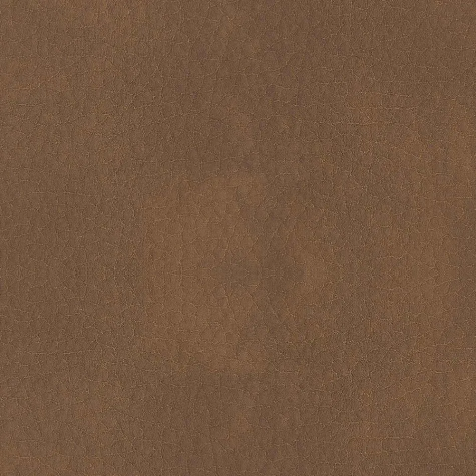 Esszimmerstuhl mit Ecolederbezug Made in Italy - Giulia Viadurini