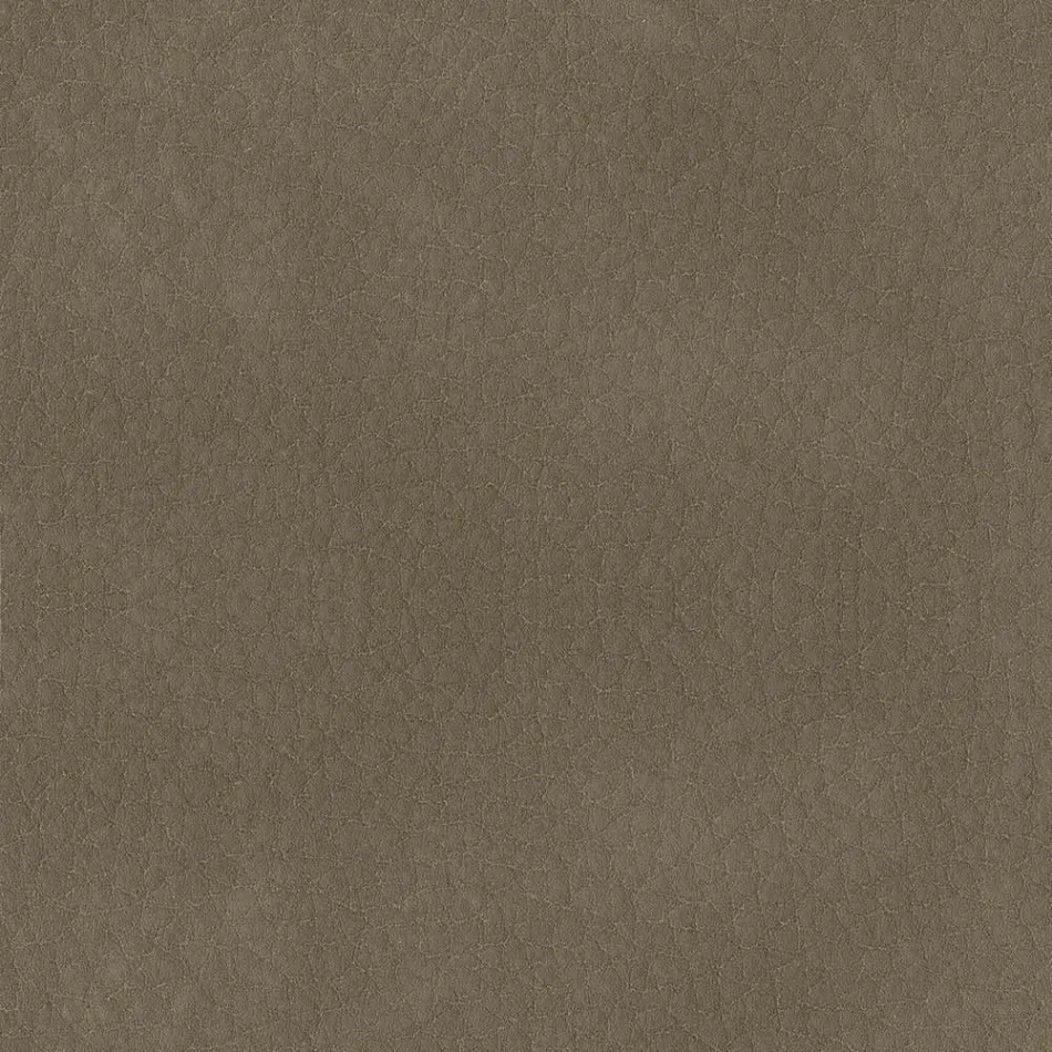 Esszimmerstuhl mit Ecolederbezug Made in Italy - Giulia Viadurini