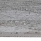 Designer Teppich in Viskose und Acrylgrau Beige mit Design - Präsident Viadurini