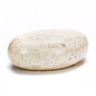Ovaler Couchtisch aus weißem Fossilstein – Alfred Viadurini
