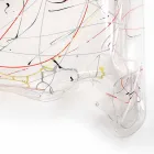 Moderner Plexiglas-Couchtisch hergestellt in Italien, Asien Viadurini