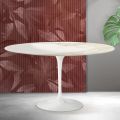 Saarinen Tulip Ovaler Couchtisch H 41 cm in Florim Calacatta Gold Matt Keramik - Scharlachrot