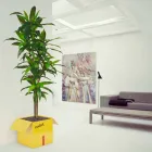 Porta-Tabelle Zeitschriften Fragile Mabele Viadurini