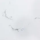 Ausziehbarer Esstisch 240 cm Glas- und Keramikplatte - Barone Viadurini