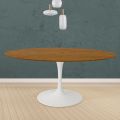 Eero Saarinen Tulip Tisch H 74 Rund in Eiche gebeizt Nussbaum hell Made in Italy - Scarlet
