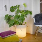 Vase mit Solarbeleuchtung oder LED-Design für drinnen oder draußen - Cilindrostar Viadurini