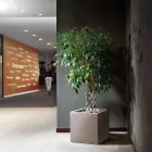 Vase in kubischer Form aus farbigem Polyethylen Made in Italy - Tonello Viadurini