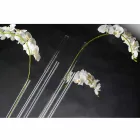 Transparente Innenvase aus Plexiglas Made in Italy - Fortunato Viadurini