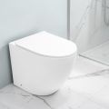 Aralia Weiße Keramik-Stand-WC-Anlage mit Zyklonabdichtung und Soft-Close-Sitz